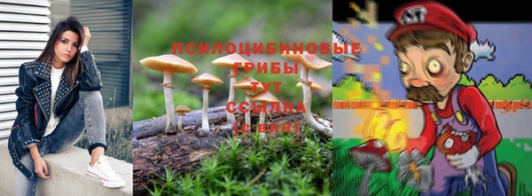 скорость Новодвинск