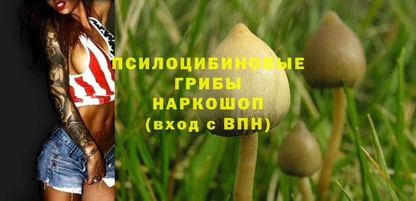 мескалин Новозыбков
